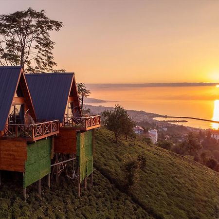 فندق أرديسنفي  Aytepe Bungalov المظهر الخارجي الصورة